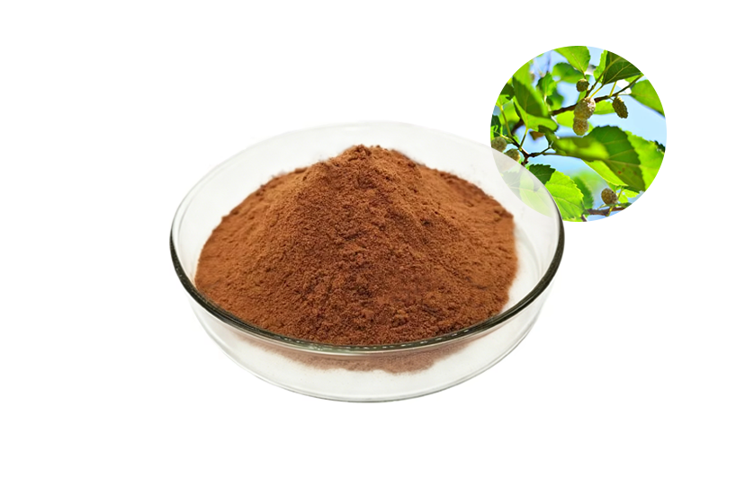Best Mulberry Leaf Extract